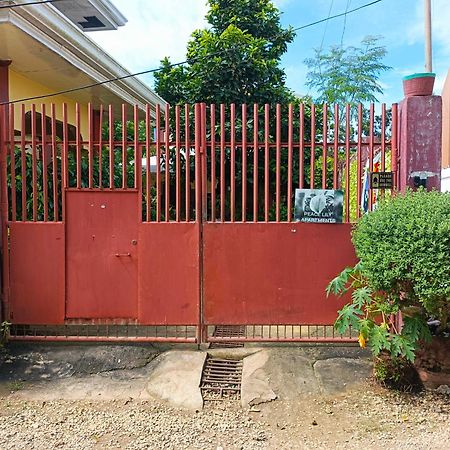 Peace Lily Studio Apartments Panglao Eksteriør bilde