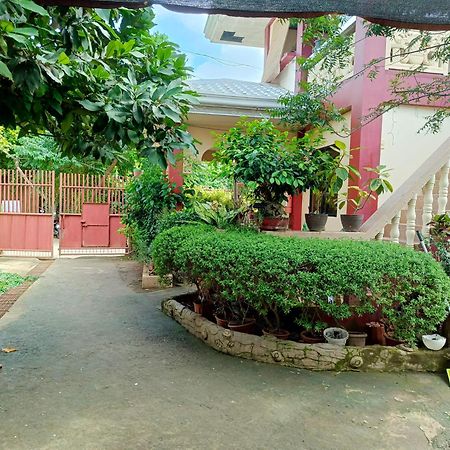 Peace Lily Studio Apartments Panglao Eksteriør bilde
