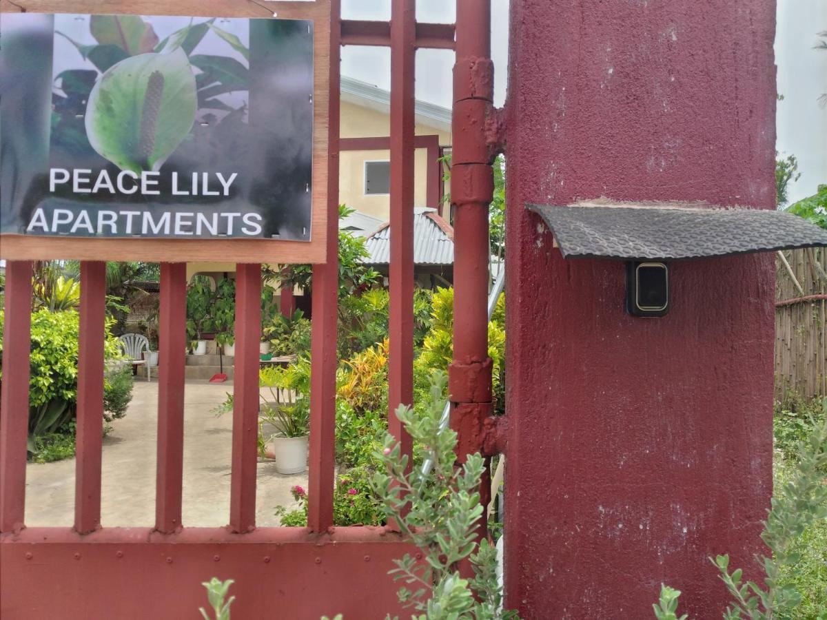 Peace Lily Studio Apartments Panglao Eksteriør bilde