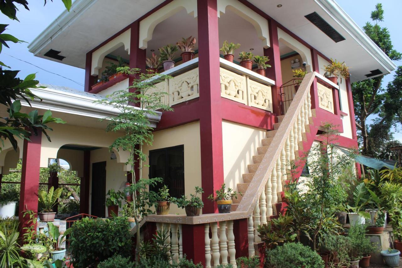 Peace Lily Studio Apartments Panglao Eksteriør bilde