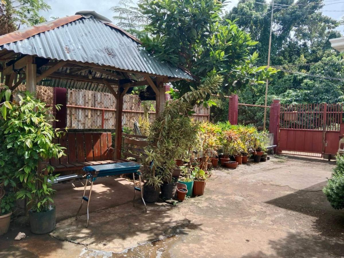 Peace Lily Studio Apartments Panglao Eksteriør bilde