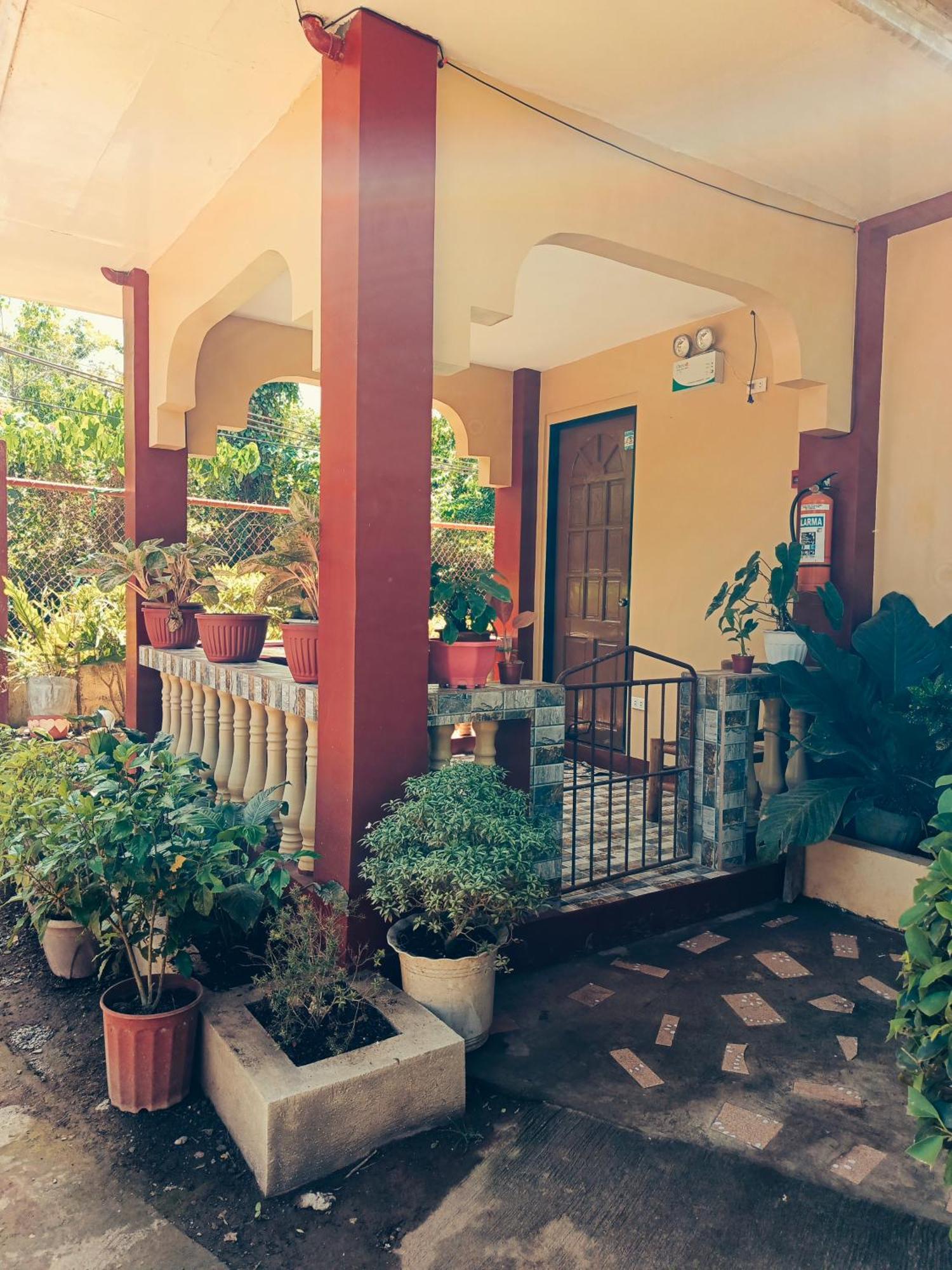 Peace Lily Studio Apartments Panglao Eksteriør bilde