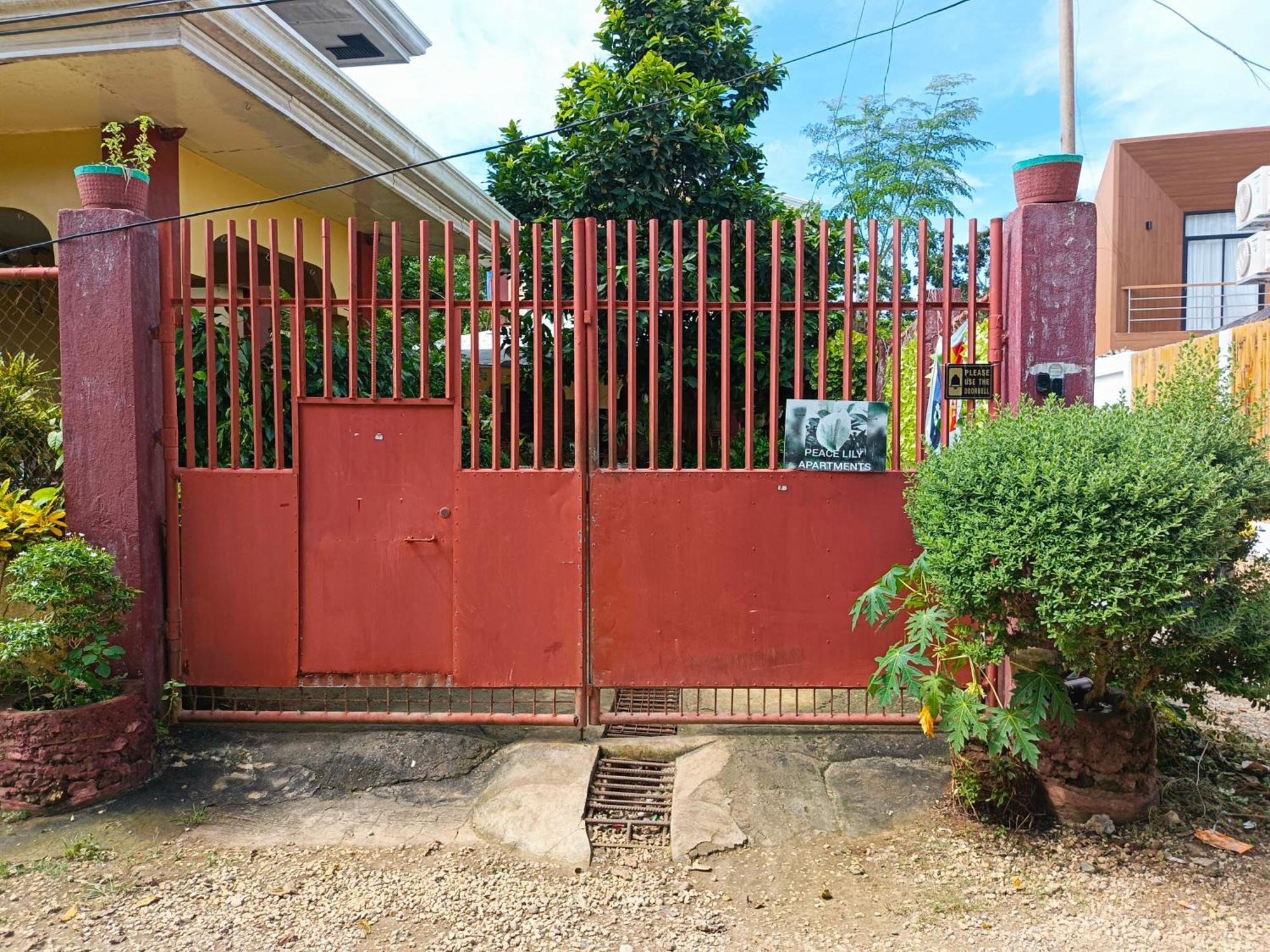 Peace Lily Studio Apartments Panglao Eksteriør bilde