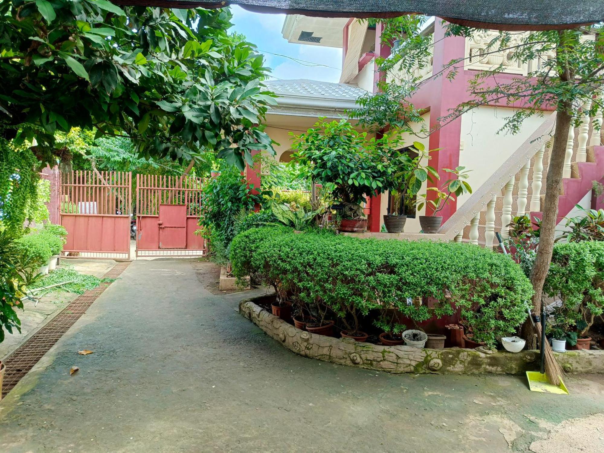 Peace Lily Studio Apartments Panglao Eksteriør bilde