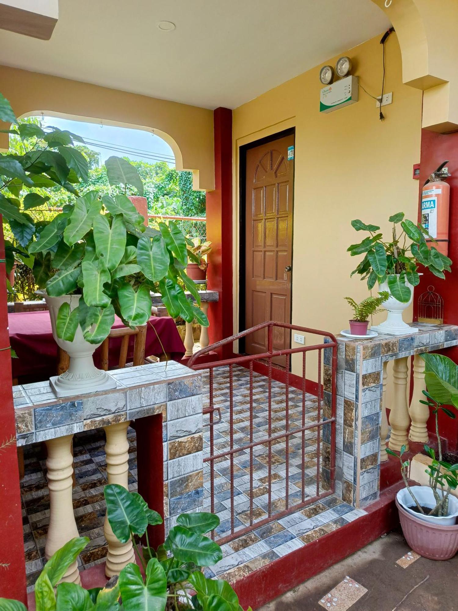 Peace Lily Studio Apartments Panglao Rom bilde
