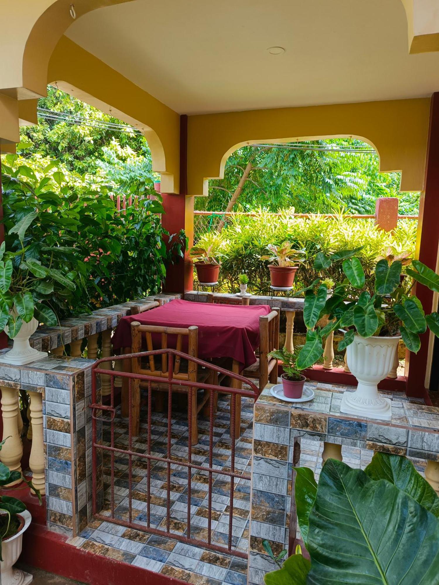 Peace Lily Studio Apartments Panglao Rom bilde