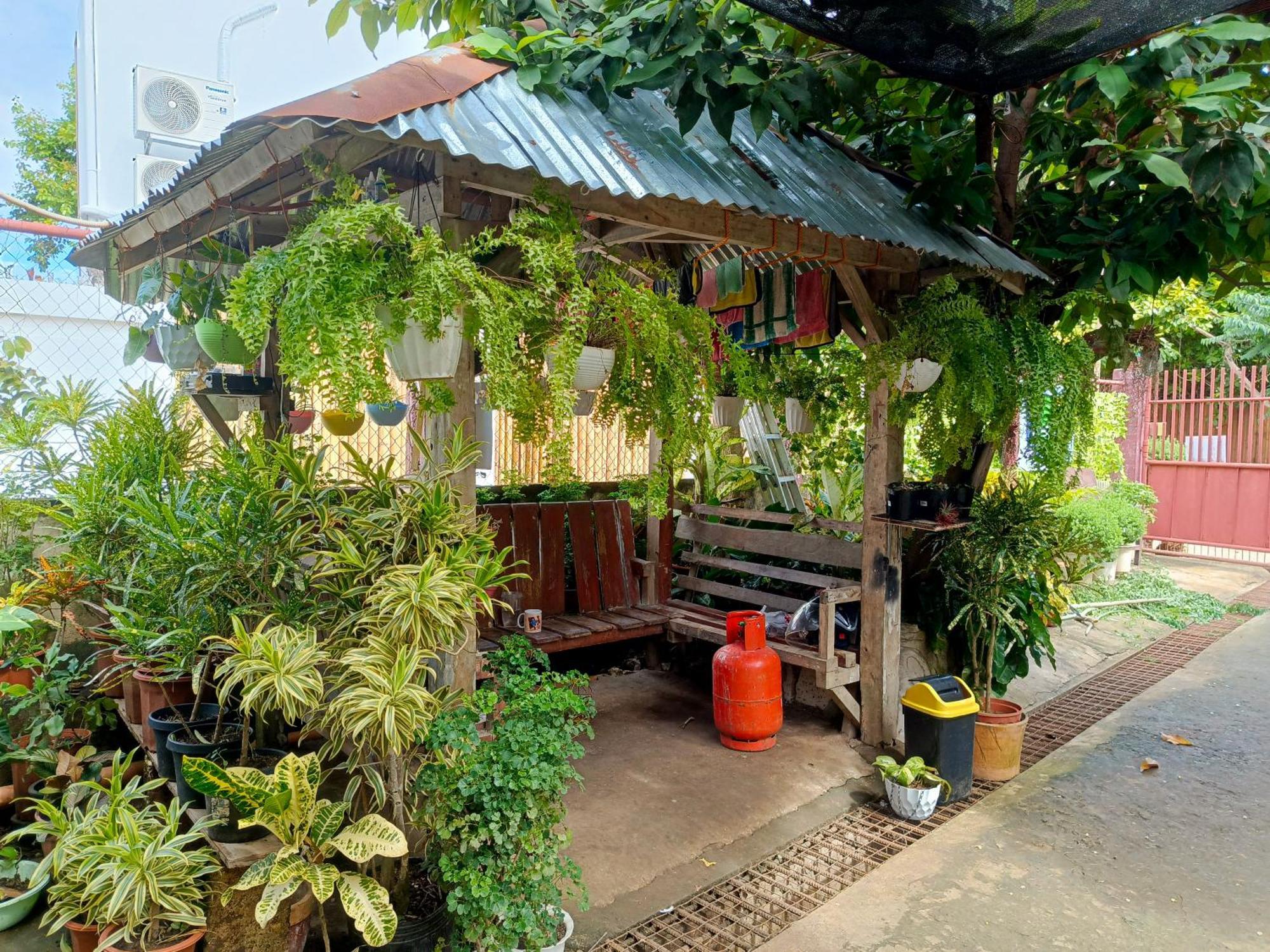 Peace Lily Studio Apartments Panglao Eksteriør bilde